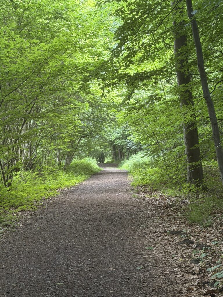 Walk and Talk in der Natur bei Kiel - Praxis für Psychotherapie Carola Pirker